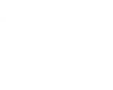 写真撮影