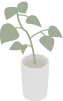 植物